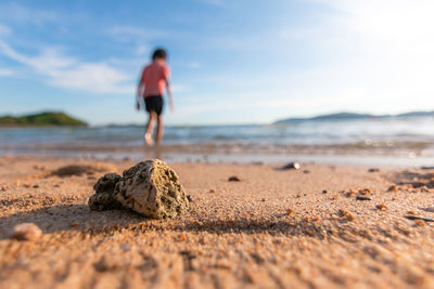 Close-up of rock on beach against sky