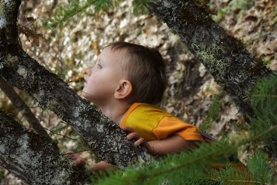 Side view of boy looking at tree trunk