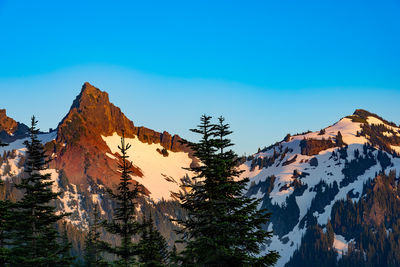 Paradise area at mount rainier national park, washington state, usa