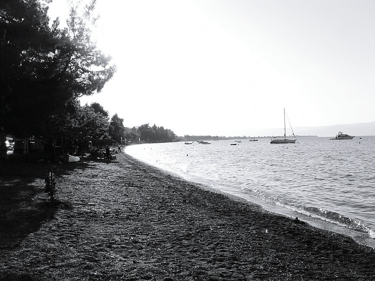 water, clear sky, sea, tranquil scene, tranquility, tree, scenics, nature, beauty in nature, horizon over water, the way forward, shore, sky, outdoors, day, idyllic, diminishing perspective, no people, calm, remote, non-urban scene, empty, rippled