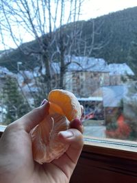 Close-up of hand holding oranges against window