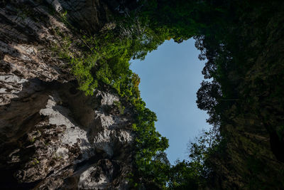 Low angle view of rock formation amidst trees against sky