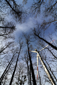 Low angle view of bare trees against sky