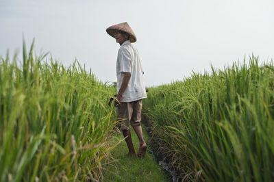 Rear view of woman walking on field against clear sky