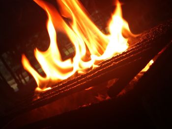 Close-up of bonfire at night