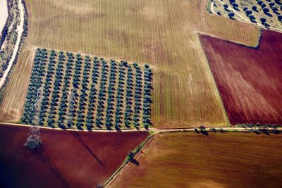 High angle view of working in farm