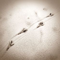 Snow on sand during winter