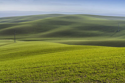 Scenic view of agricultural field against sky