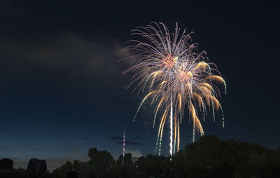 Portrait of fourth of july fireworks from local park in tennessee, united states