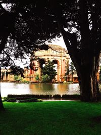 Reflection of trees in pond