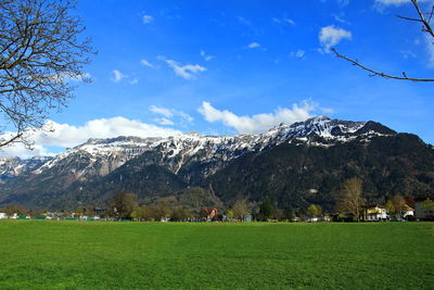 Beautiful view of green grass, and landscaping in front of the swiss alps. interlaken, switzerland.