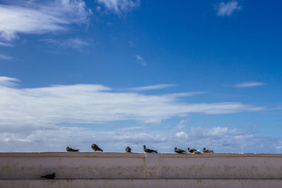 Birds on landscape against blue sky