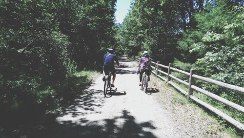 Rear view of man riding bicycle in forest