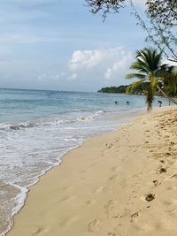 Scenic view of beach against sky