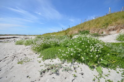 Scenic view of beach against sky