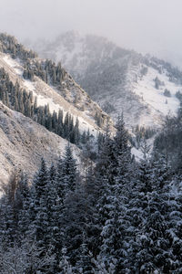 Scenic view of snow covered mountains against sky