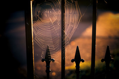 Close-up of silhouette spider web on metal fence