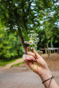 Close-up of hand holding flowers