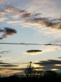 Low angle view of silhouette trees against sky at sunset