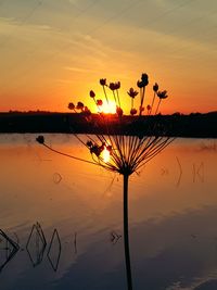 Silhouette plants by lake against romantic sky at sunset