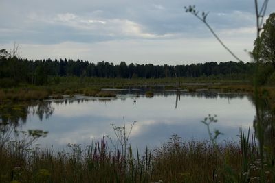Scenic view of lake against sky