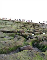 People on beach against clear sky