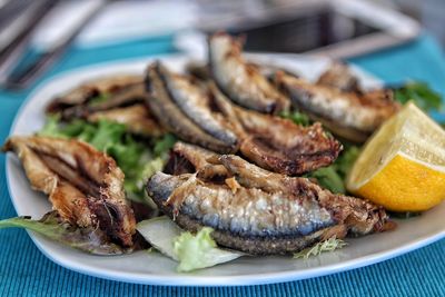 Close-up of seafood in plate