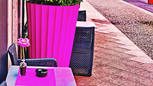 High angle view of pink flowering plant on table against building