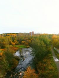 High angle view of stream along plants