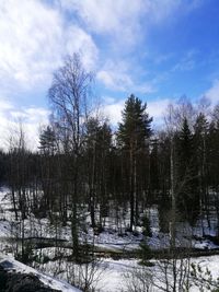 Trees by lake in forest against sky