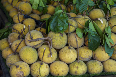 Full frame shot of fruits for sale at market stall