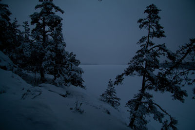 Trees on snow covered land against sky