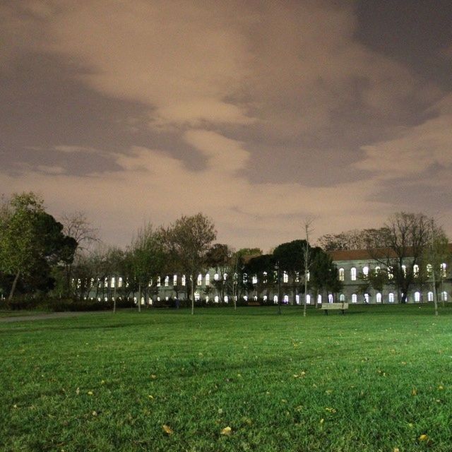 grass, sky, built structure, architecture, tree, green color, field, illuminated, tranquility, night, tranquil scene, building exterior, landscape, cloud - sky, nature, beauty in nature, scenics, growth, dusk, outdoors