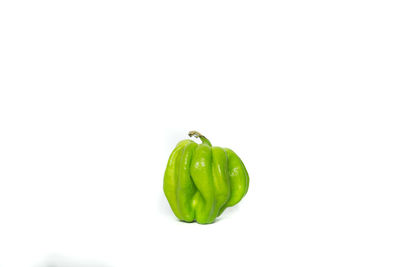 Close-up of green pepper against white background