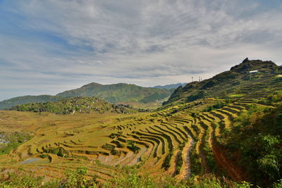 High angle view of terraced rice field against cloudy sky