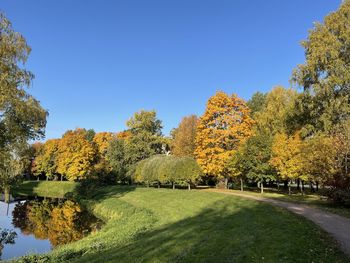 Trees growing in park against sky during autumn