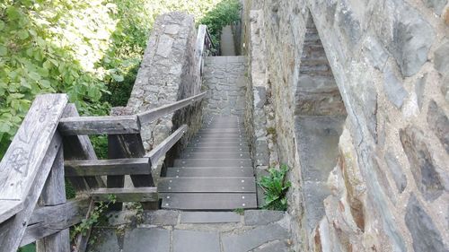 Steps amidst trees