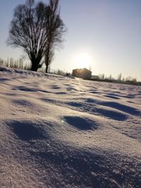 Bare trees on snow covered field against sky