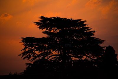 Low angle view of silhouette tree against orange sky