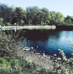 Scenic view of lake in forest against sky