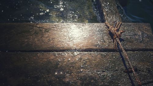 Reflection of trees in water