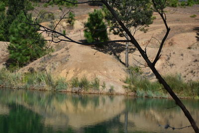 Scenic view of lake by trees