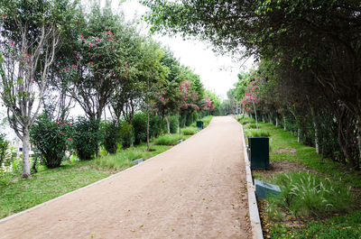 Empty footpath in park