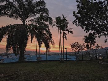 Silhouette palm trees on beach against sky at sunset