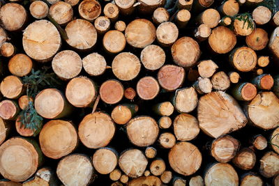 Full frame shot of logs in forest