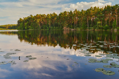 reflection