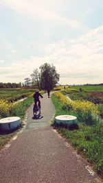 Man riding bicycle on road amidst field against sky