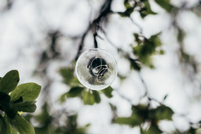 Low angle view of crystal ball hanging