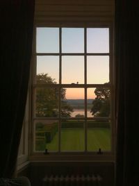 Reflection of trees on glass window