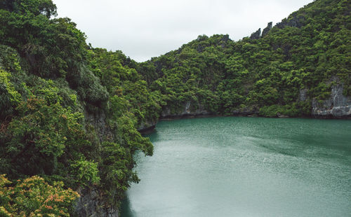 Scenic view of river amidst trees against sky